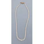 A cultured pearl necklace with 9ct gold pearl set clasp, 45cms long
