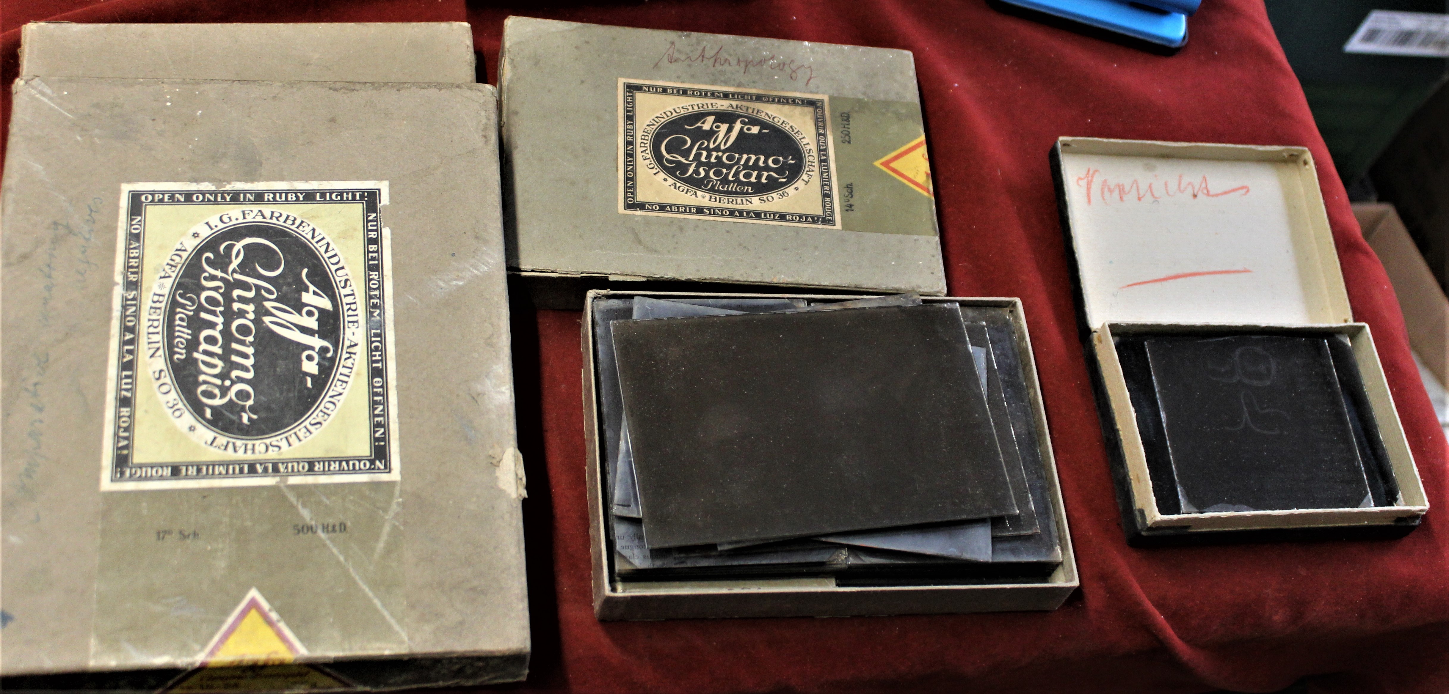German 1930s Anthropology and Odonatological Glass slides in four boxes used for teaching students