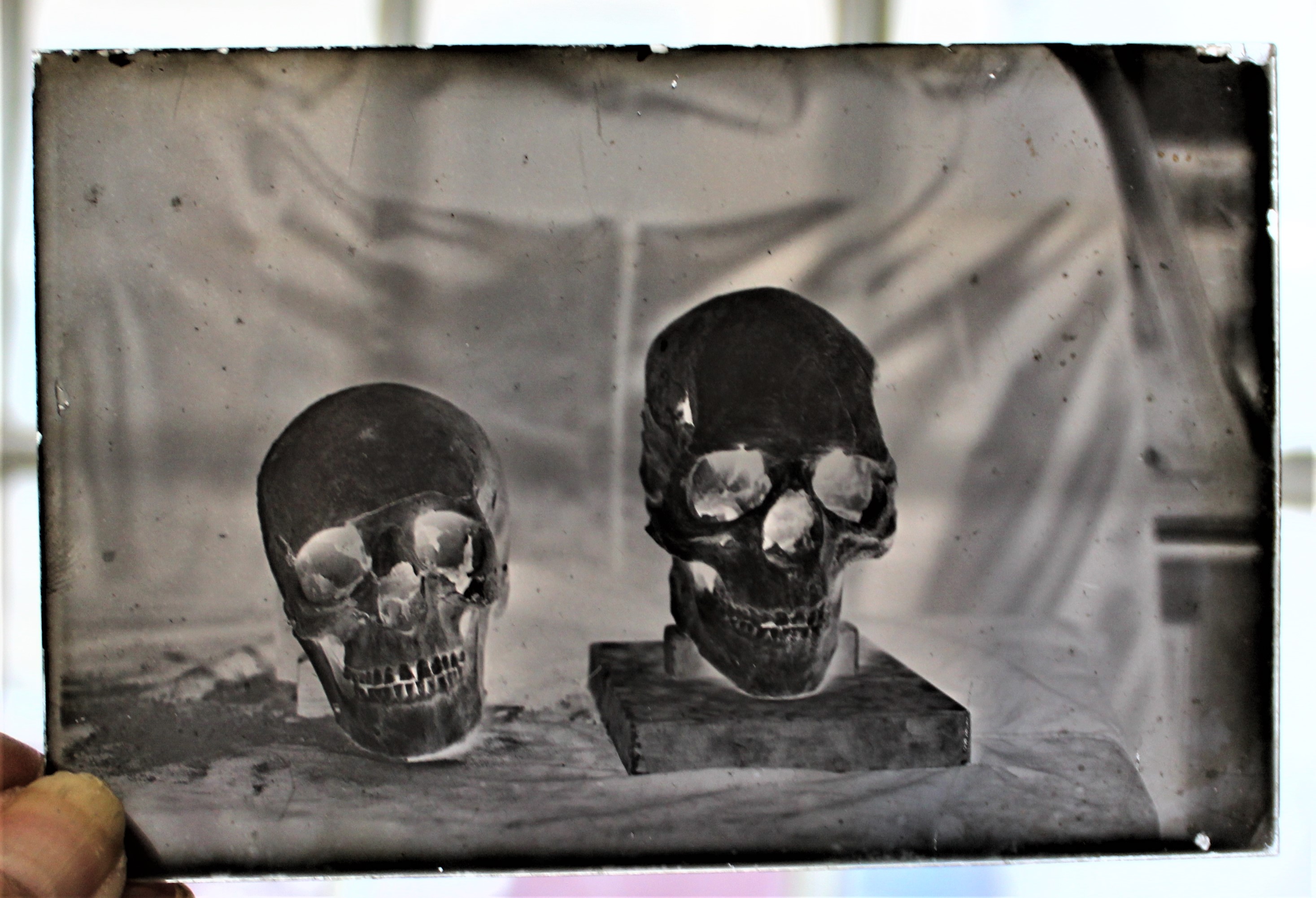 German 1930s Anthropology and Odonatological Glass slides in four boxes used for teaching students - Image 2 of 2