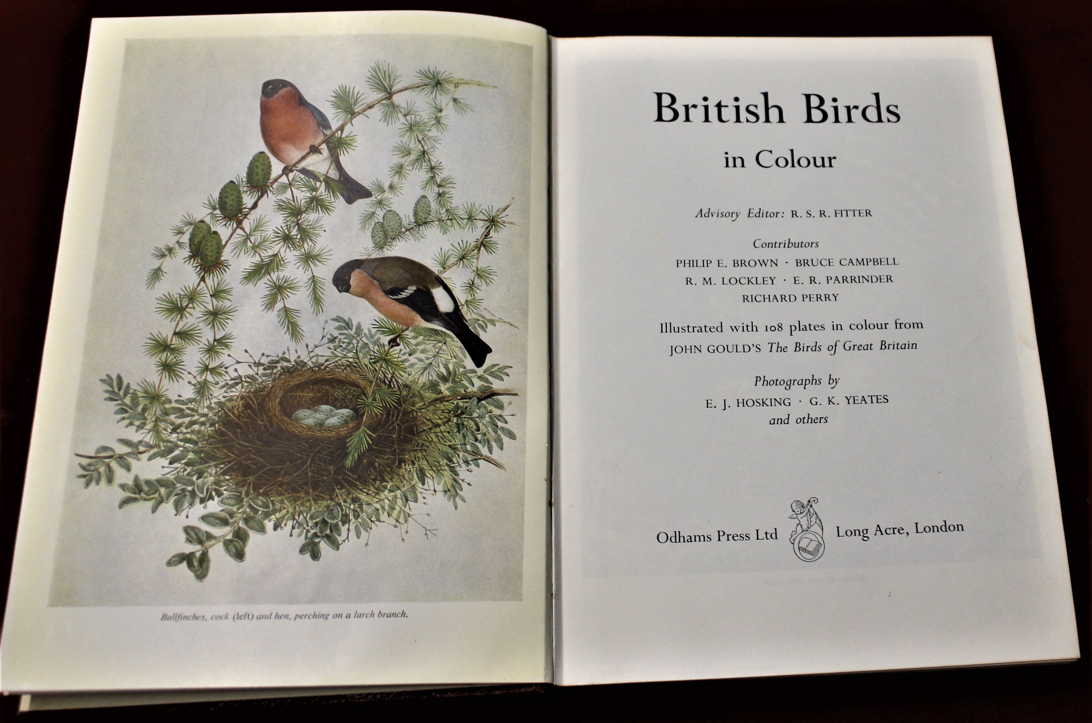 Book-British Birds in colour by R.S.R. Fitter- includes 108 colour plates from John Gord's 'The - Image 4 of 4