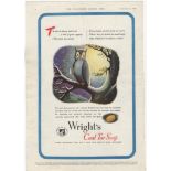 Wright's Coal Tar Soap 1946- full page advertisement-'The Owl' 1" x 14" approx.