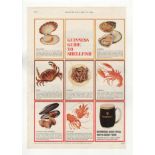 Guinness 1966-Colour advertisement Guinness Guide to Shell Fish Guinness Well With Good Food-8" x