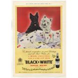 Black + White Scotch Whisky 1958-full page colour advertisement -Scottie Dogs-Buchanan + Co-10" x