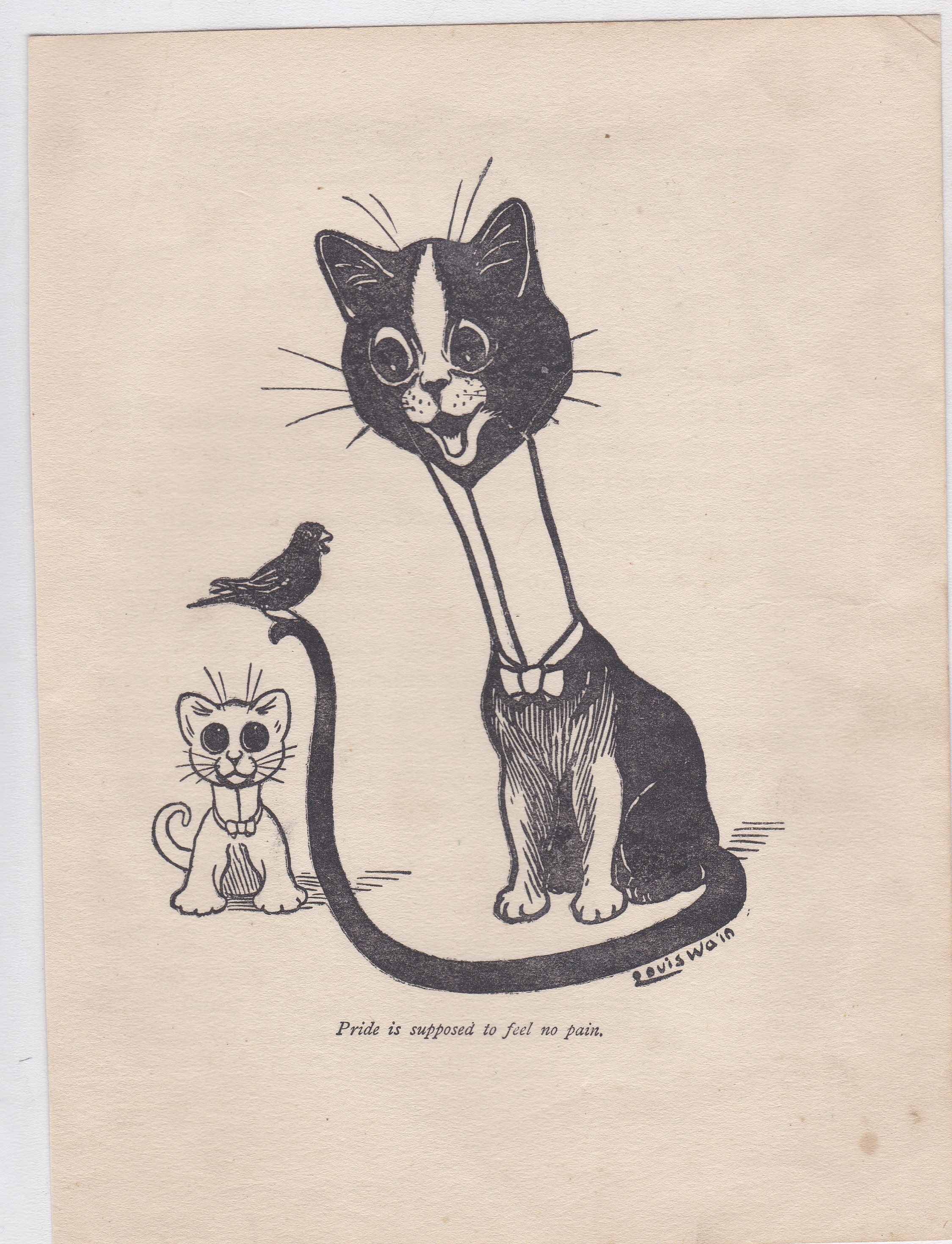 Louis Wain 1905-Cartoon, black and white 'Pride' supposed to feel no pain Kat + Kitten-7" x 9.12"