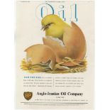 Anglo-Iranian Oil Company Ltd 1951-BP oil and the EGG full page colour advertisement 10" x 12.1/2"