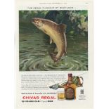 Chivas Regal Whisky 1962-full page colour advertisement 'Salmon Fishing-The Regal Flavour of