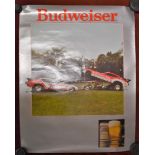 Budweiser' coloured picture of Dragsters Cars, measurements 71cm x 56cm. Very good condition