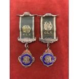 Royal Antediluvian Order of Buffaloes (RAOB) Jewels Grand Lodge of England including Eureka Lodge