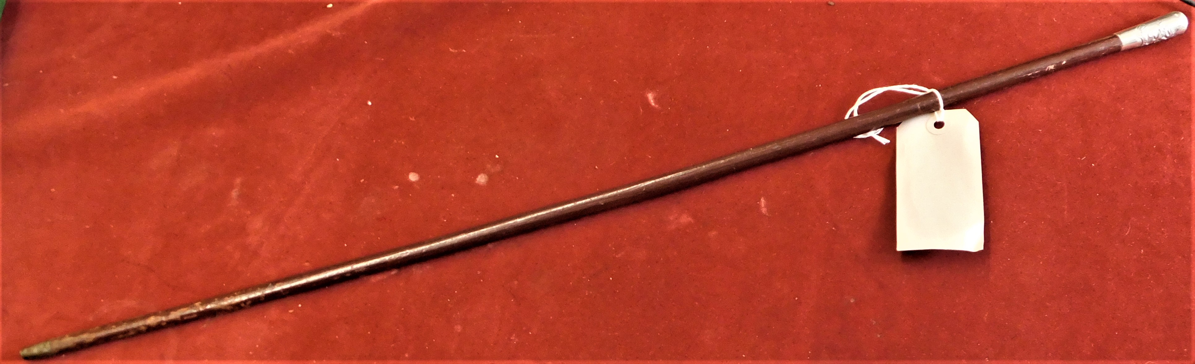 British WWI Royal Welch Fusiliers Swagger stick cane, with white metal top in very good not - Image 3 of 3