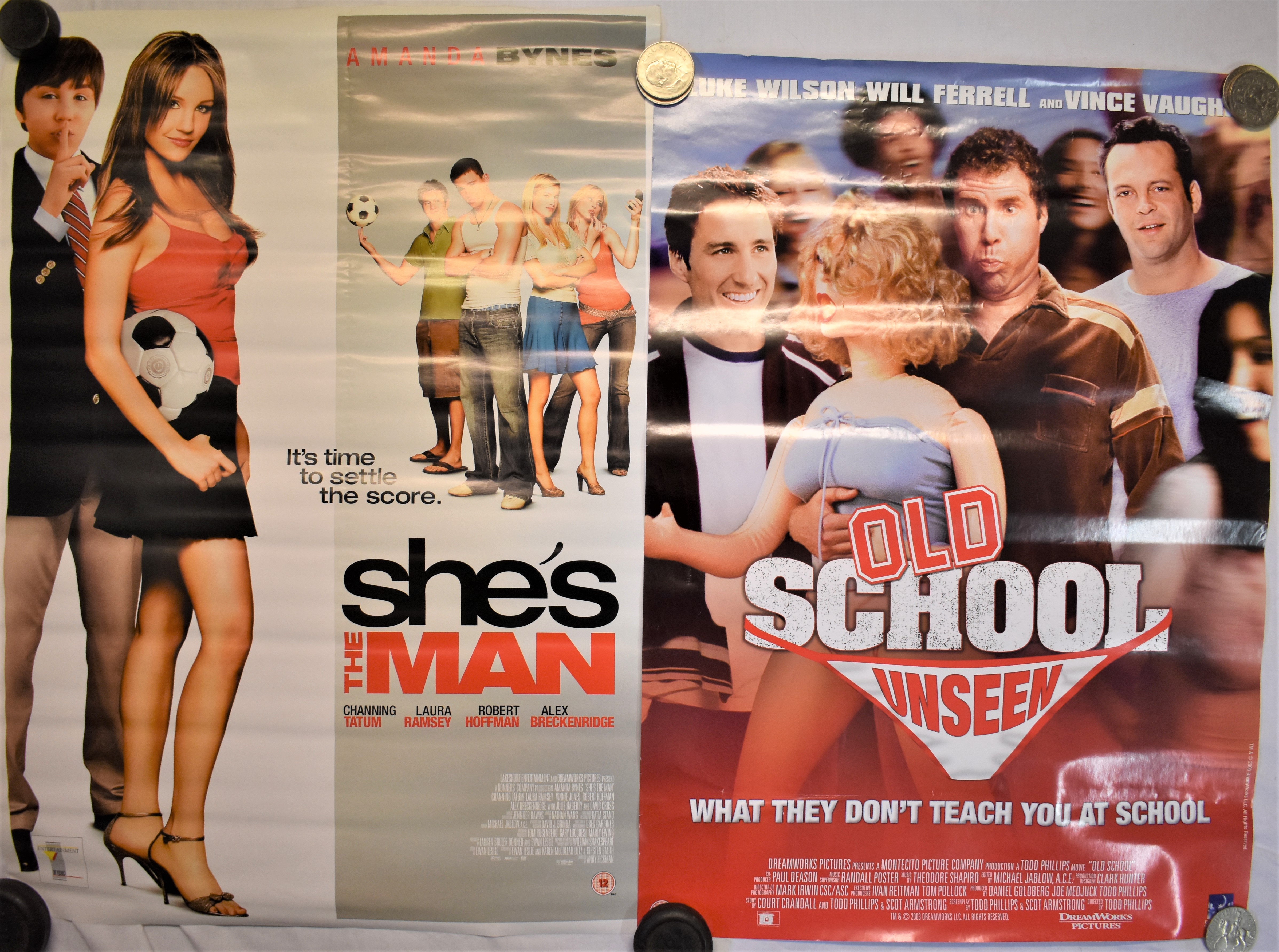 Film Posters (5) - 'Home Alone 3'-measurements 100cm x 76cm, Comedy DVD Posters (6), 'True Lie's'- - Image 4 of 5