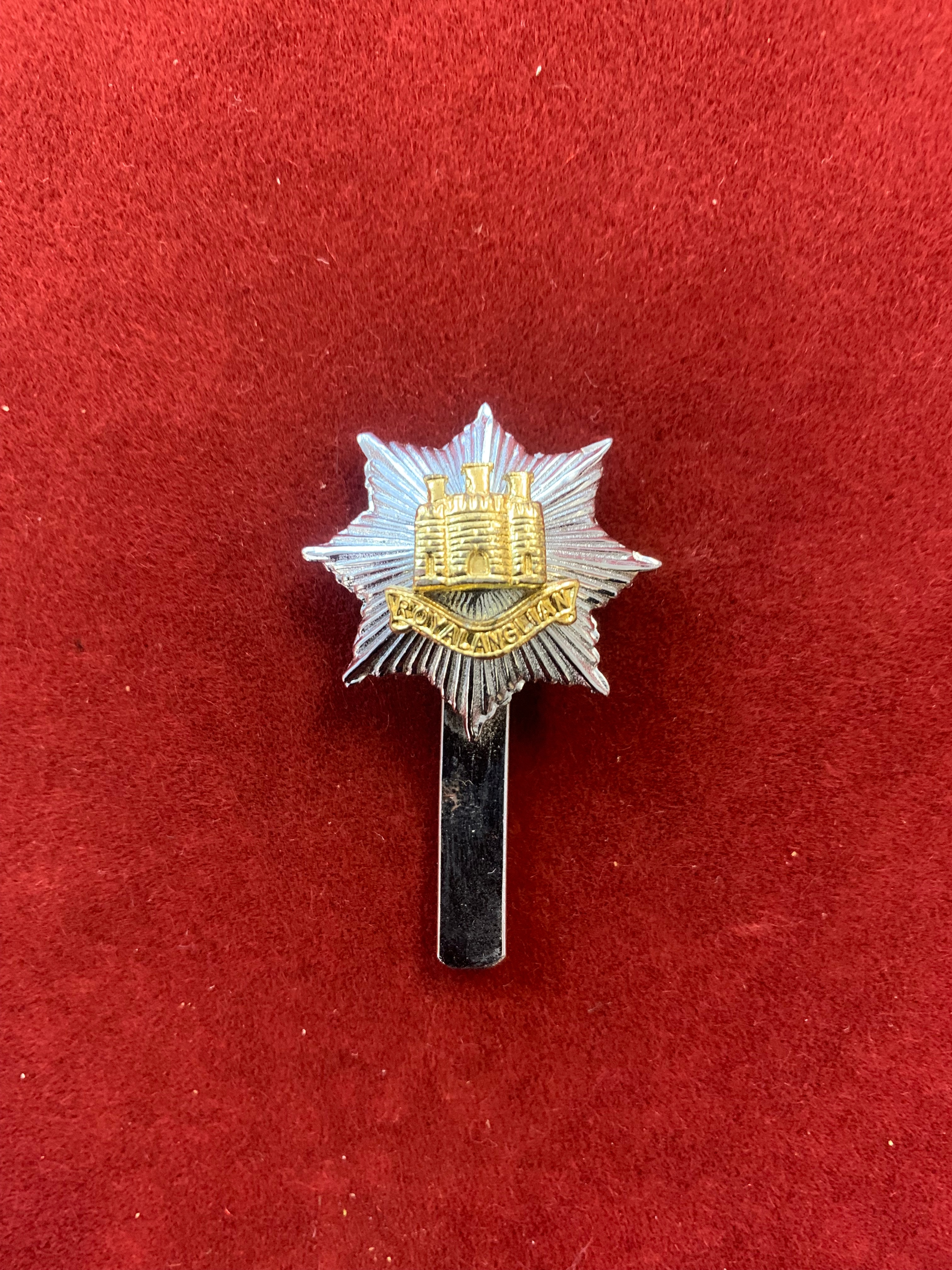 British EIIR Royal Anglian Regiment Cap Badge, anodised and slider.