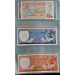 Suriname 1963-2000-Collection of (23 notes) Vf to AUNC 2000's Birds AUNC to 5000 Gild (152)