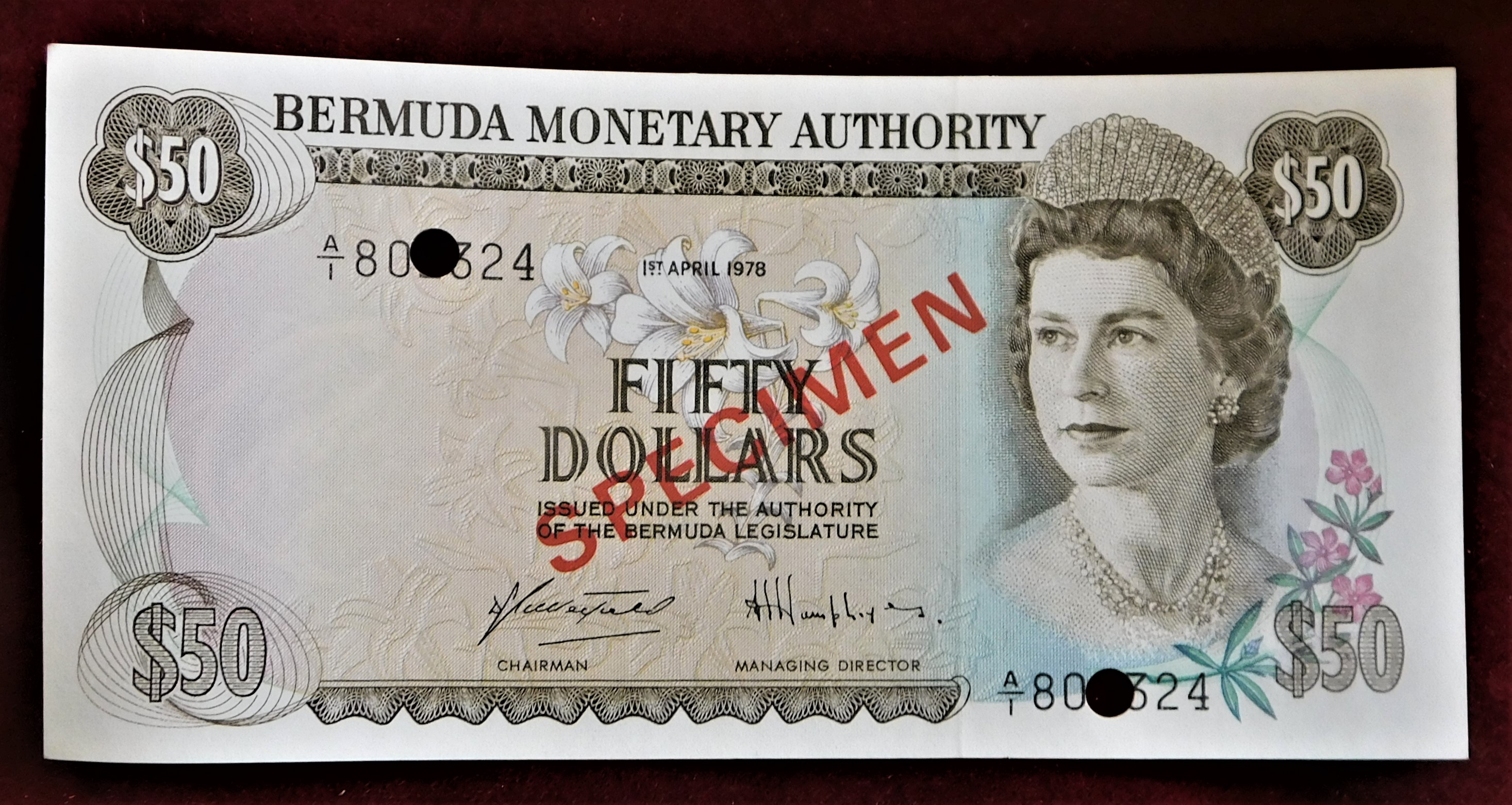 Bermuda-1978 Fifty dollars, specimen over print and hole punched P325 AUNC