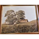 Framed Canvas of Rural Scene - in colour 68cm x 56cm oil painted - BUYER COLLECT