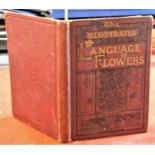 Book - The Illustrated Language of Flowers 1882- slight foxing - good condition