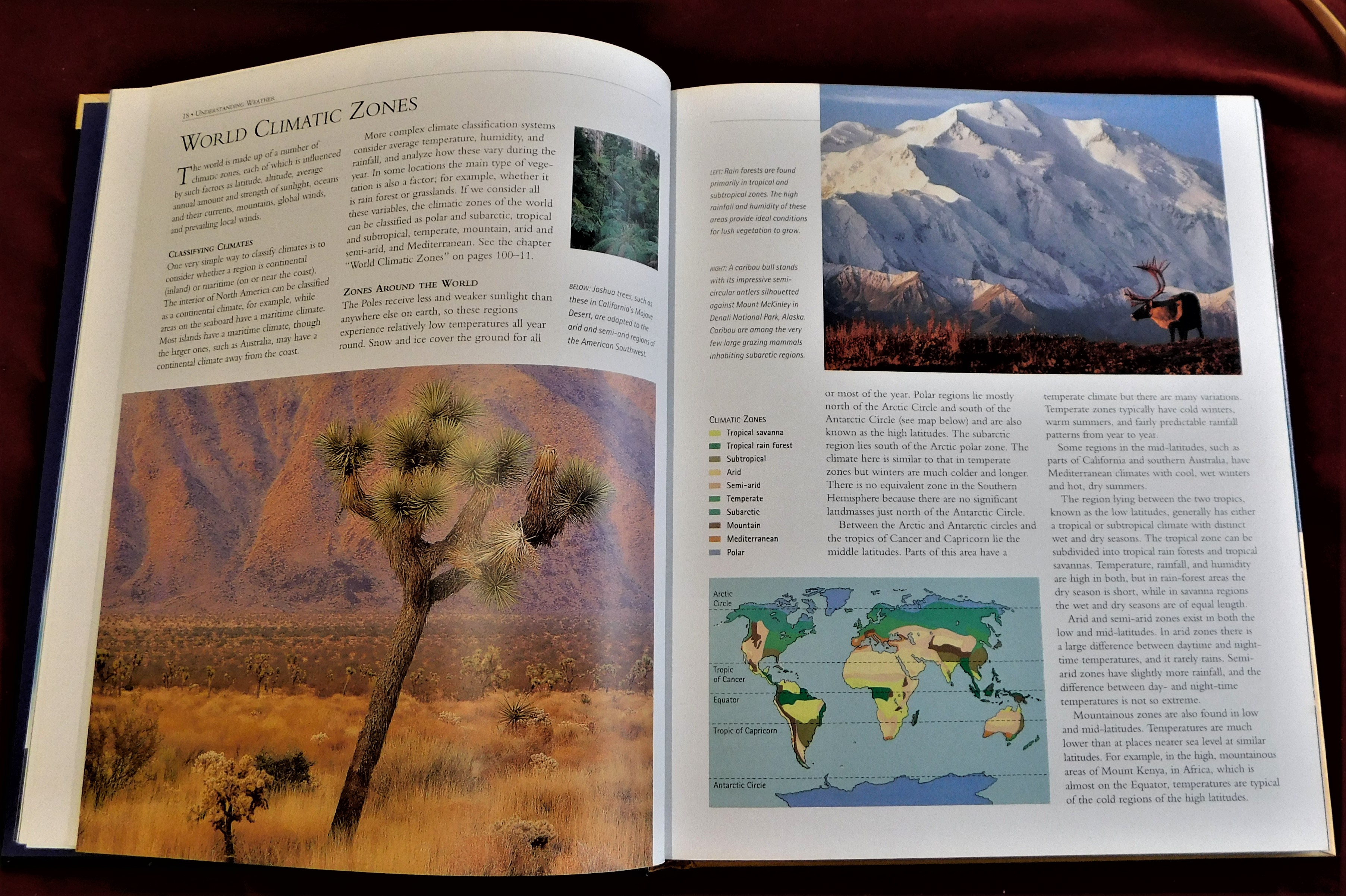 Weather- Readers Digest (1997) colour prints - excellent condition - Image 3 of 4