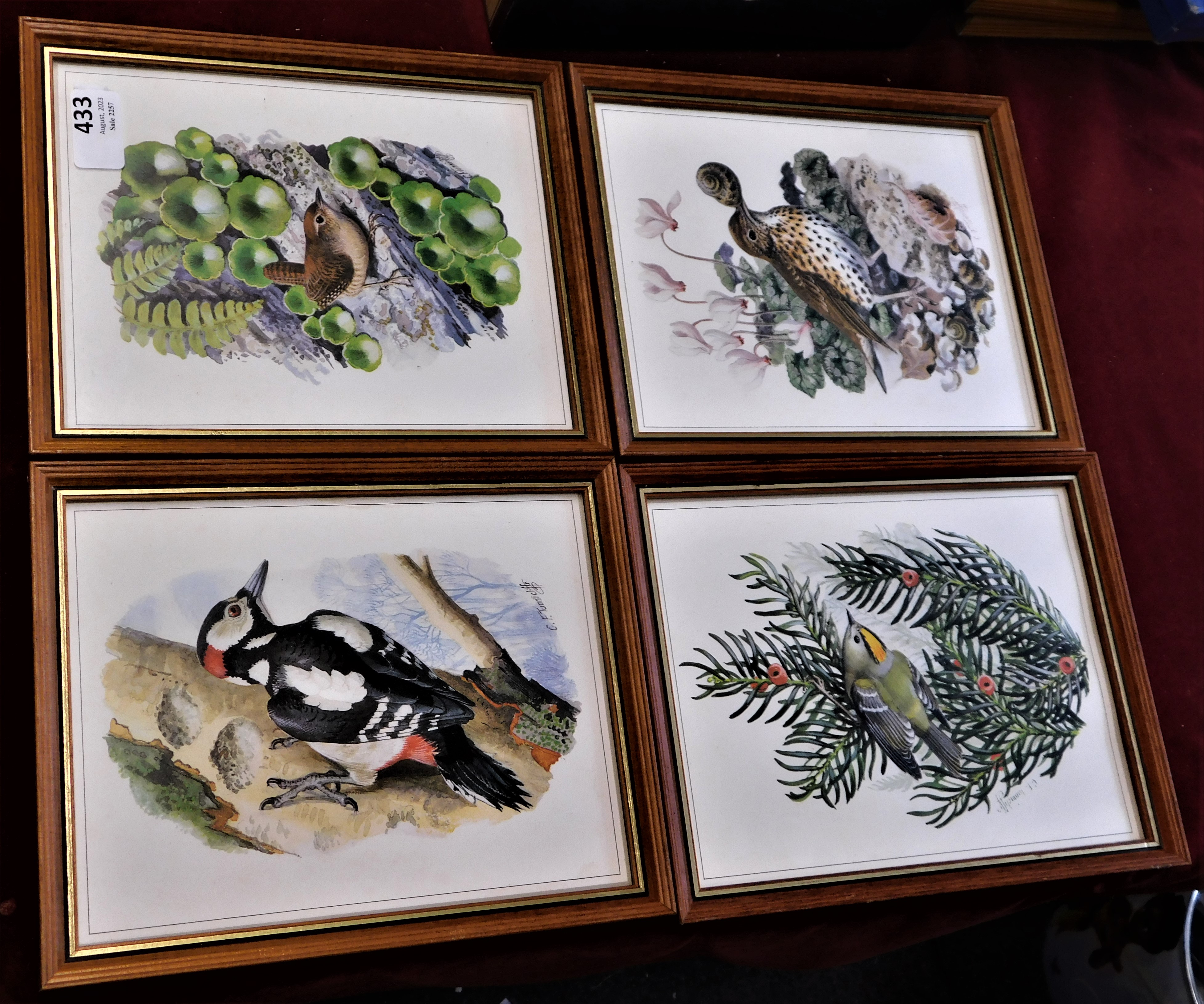 (4) framed pictures of Birds - Artist C.F.Tunnicliffe Lot no.1255 coloured measurements 25cm x 20cm.