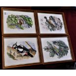 (4) framed pictures of Birds - Artist C.F.Tunnicliffe Lot no.1255 coloured measurements 25cm x 20cm.