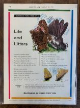 Advertising Poster 'Guinness (Country Life) ' Guinness Pets Page No.14 ' Life and letters'