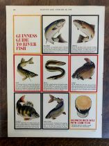 Advertising Poster ' Guinness (Country Life) 'Guinness Guide to River Fish' from Arthur Guinness