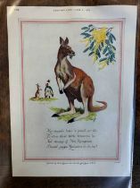 Advertising Poster 'Guinness' (Country Life) June 6th 1952 - coloured picture of a Kangaroo with