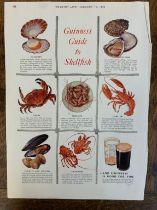 Advertising Poster - 'Guinness (Country Life) ' Guinness Guide to Shell Fish' coloured pictures