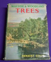 Wayside & Woodland Trees - "A Guide To The British Sylva", hardcover book with dustcover,