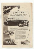 Jaguar 1854-full page black and white advertisement-Range of Models for 1955-3/2 Litre 'D' Type-Mark