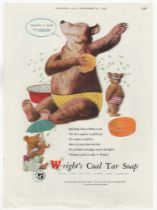 Wright's Coal Tar Soap 1950-full page colour advertisement-Bear Washing! Classic-small cover