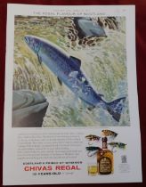 Chivas Regal Scotch Whisky 1964 - Full page colour advertisement, Salmon Fishing and Flies 9" x 12"