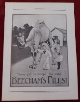 Beecham's Pills 1920 - Full page advertisement, black and white,children with camel 'You've got