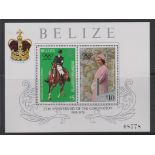 Belize 1979 - 25th Anniversary Coronation SGMS503 u/m miniature sheet - cat value £26