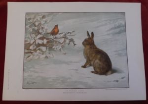 1883 Graphic Christmas Number - colour print 'A Winter Song' by J.Macwhirter A.R.A - delightful -