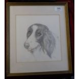 Drawing of Dog - in pencil and crayon - sign EIN 2003, measurements 37cm x 32cm, very good