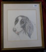 Drawing of Dog - in pencil and crayon - sign EIN 2003, measurements 37cm x 32cm, very good