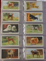 Gallaher Ltd - 3 full sets include Army Badges, Racing Scenes, Dogs (2nd Series) all in sleeves very