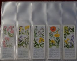 Typhoo Tea Ltd - (3 sets) interesting events in British History Homes of Famous Men, Wild flowers in