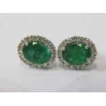 PAIR OF 18ct WHITE GOLD EMERALD & DIAMOND CLUSTER EARRINGS, each earring has a principal oval cut