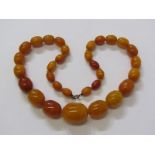 BUTTERSCOTCH AMBER, graduated butterscotch amber beaded necklace, 16" length, 35.38 grams