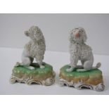 DRESDEN, pair of seated encrusted dog figures on gilt scroll bases, 13cm height