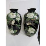 CLOISONNE, pair of large Japanese cloisonne blue grund bird and peony design 63cm vases (extensive