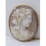 9ct YELLOW GOLD SHELL CAMEO