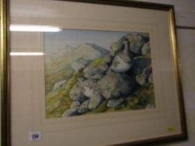 OWEN WILLIAMS, signed watercolour dated 1991 "Ptarmigan on rocky outcrop" 26cm x 36cm