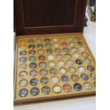 VICTORIAN GEMSTONE DISPLAY CASE, in birdseye maple, each specimen with manuscript label, 35cm width