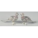A PAIR OF SILVER PLATE PHEASANT SALT AND PEPPERS, 10 cm long.