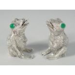 A PAIR OF SILVER PLATED FROG SALT AND PEPPERS, 5 cm.