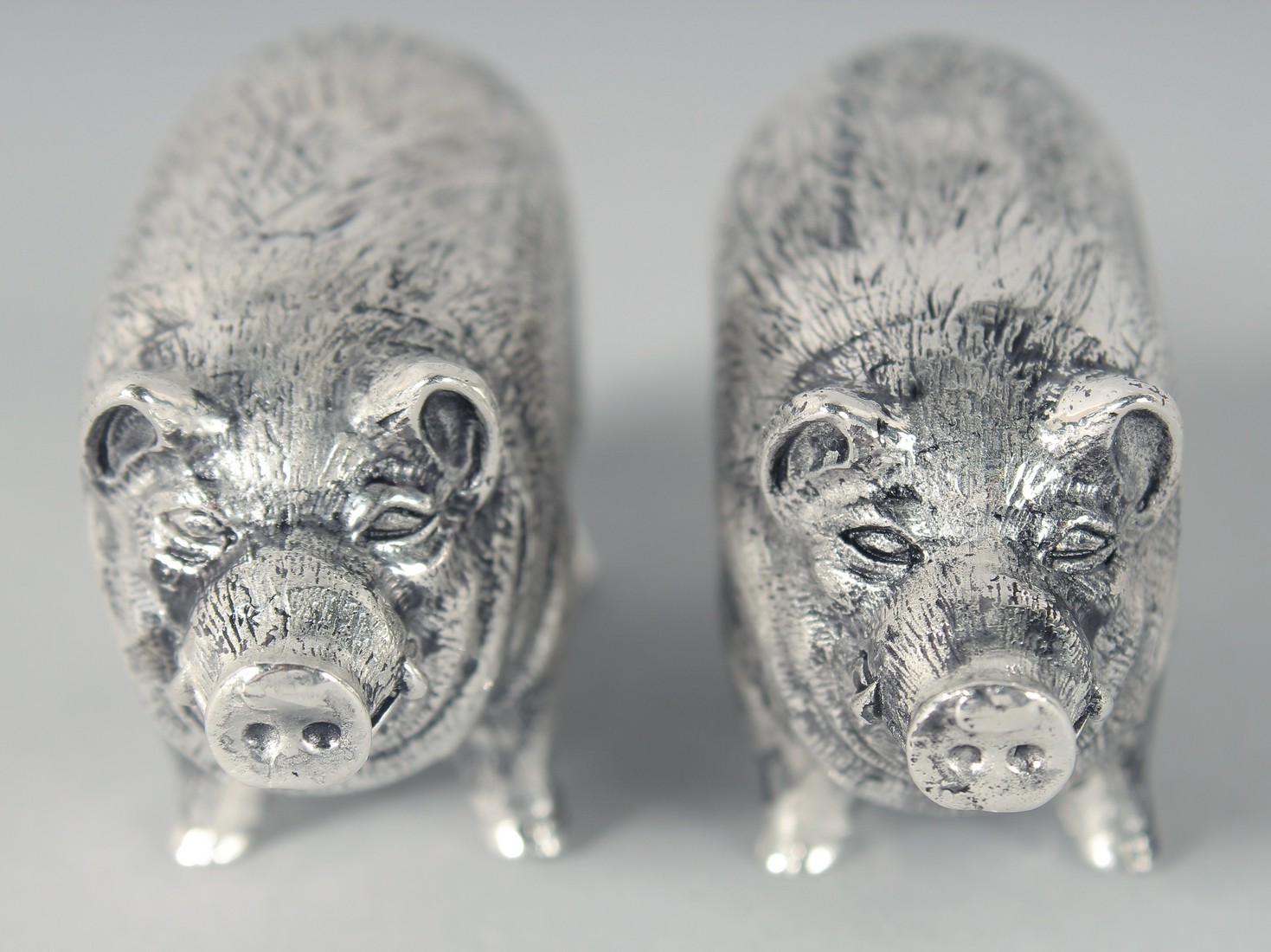 A PAIR OF SILVER PLATED PIG SALT AND PEPPERS.