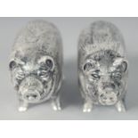 A PAIR OF SILVER PLATED PIG SALT AND PEPPERS.