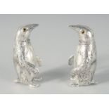 A PAIR OF SILVER PLATED PENGUIN SALT AND PEPPERS, 5.5 cm.