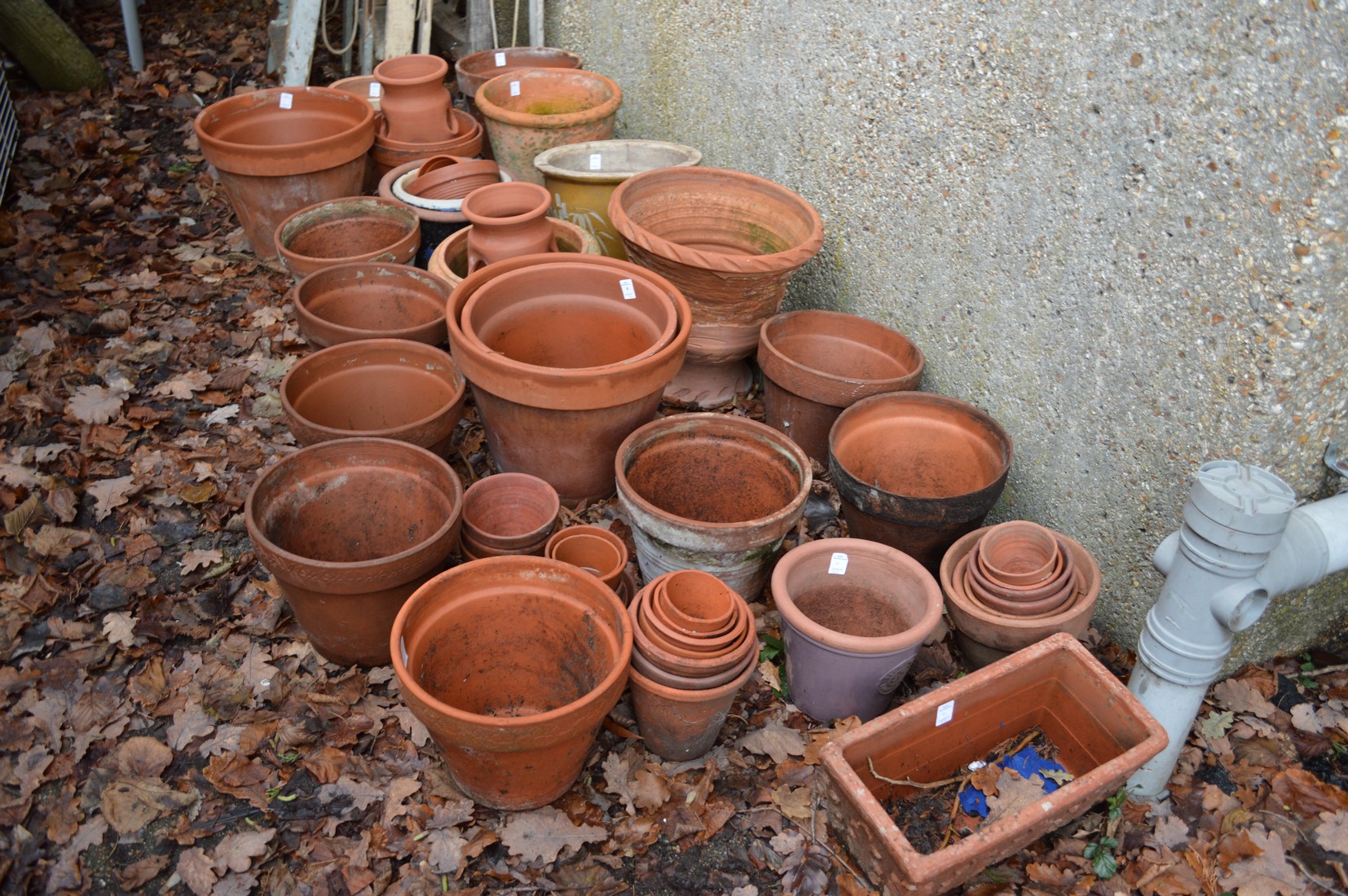 A large quantity of terracotta plant pots.